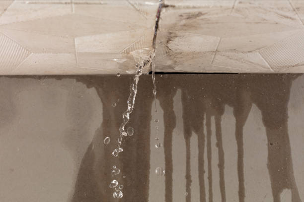 Professional Water Damage Inspection technician working in Hackberry, TX
